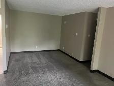 Bachelor Suite for Rent - Edmonton Oliver Area - Photo 9