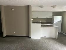 Bachelor Suite for Rent - Edmonton Oliver Area - Photo 10