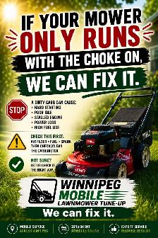 Mobile Lawnmower Tune-Up - Photo 8