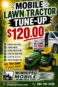 Mobile Lawnmower Tune-Up - Photo 9