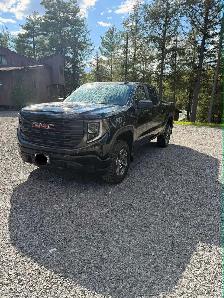 GMC Sierra 1500 Pro Crew Cab - Photo 2
