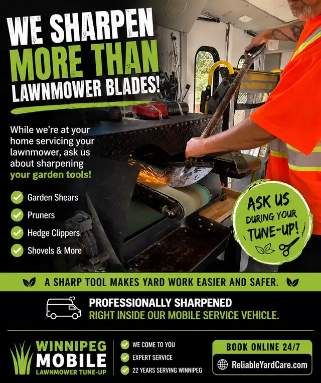 we do more then lawnmower repair