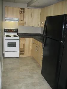 1 Bedroom Apartment on Quiet Street - West End Kingston! - Photo 2