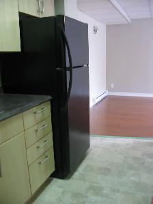 1 Bedroom Apartment on Quiet Street - West End Kingston! - Photo 8
