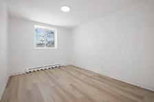 Renovated 1 Bedroom Apartment! Move In Ready! - Photo 7