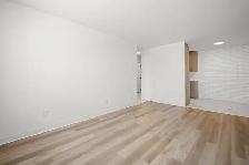 Renovated 1 Bedroom Apartment! Move In Ready! - Photo 8