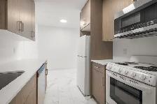 Renovated 1 Bedroom Apartment! Move In Ready! - Photo 9