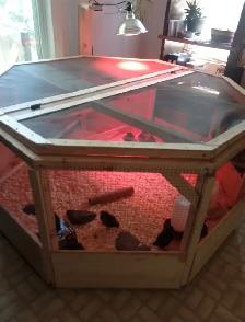 Made to order octagon Brooders