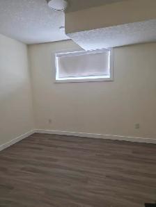 BEAUTIFUL NEWLY BUILT 1 BEDROOM BASEMENT FOR RENT IN EDMONTON - Photo 4
