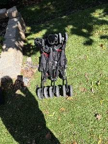 Stroller for Twins - Photo 2