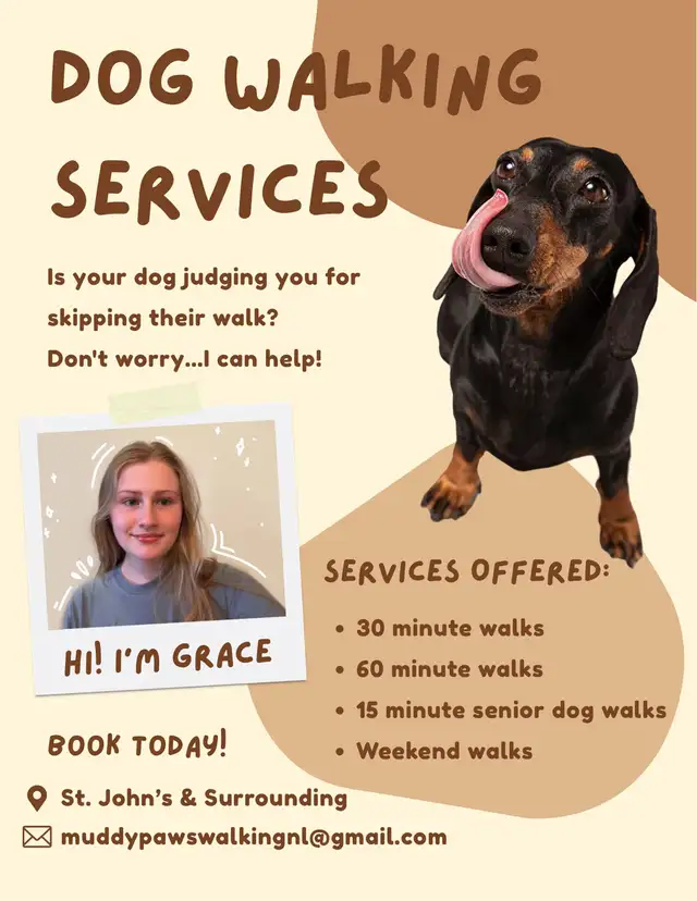 Dog Walking in St. John’s & Surrounding areas