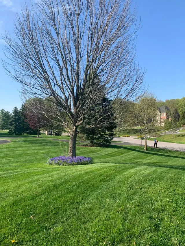Hiring for Lawn Maintenance Technician/Landscape Labourer