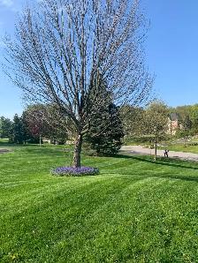 Hiring for Lawn Maintenance Technician/Landscape Labourer