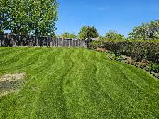 Hiring for Lawn Maintenance Technician/Landscape Labourer - Photo 3