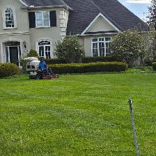 Hiring for Lawn Maintenance Technician/Landscape Labourer - Photo 5