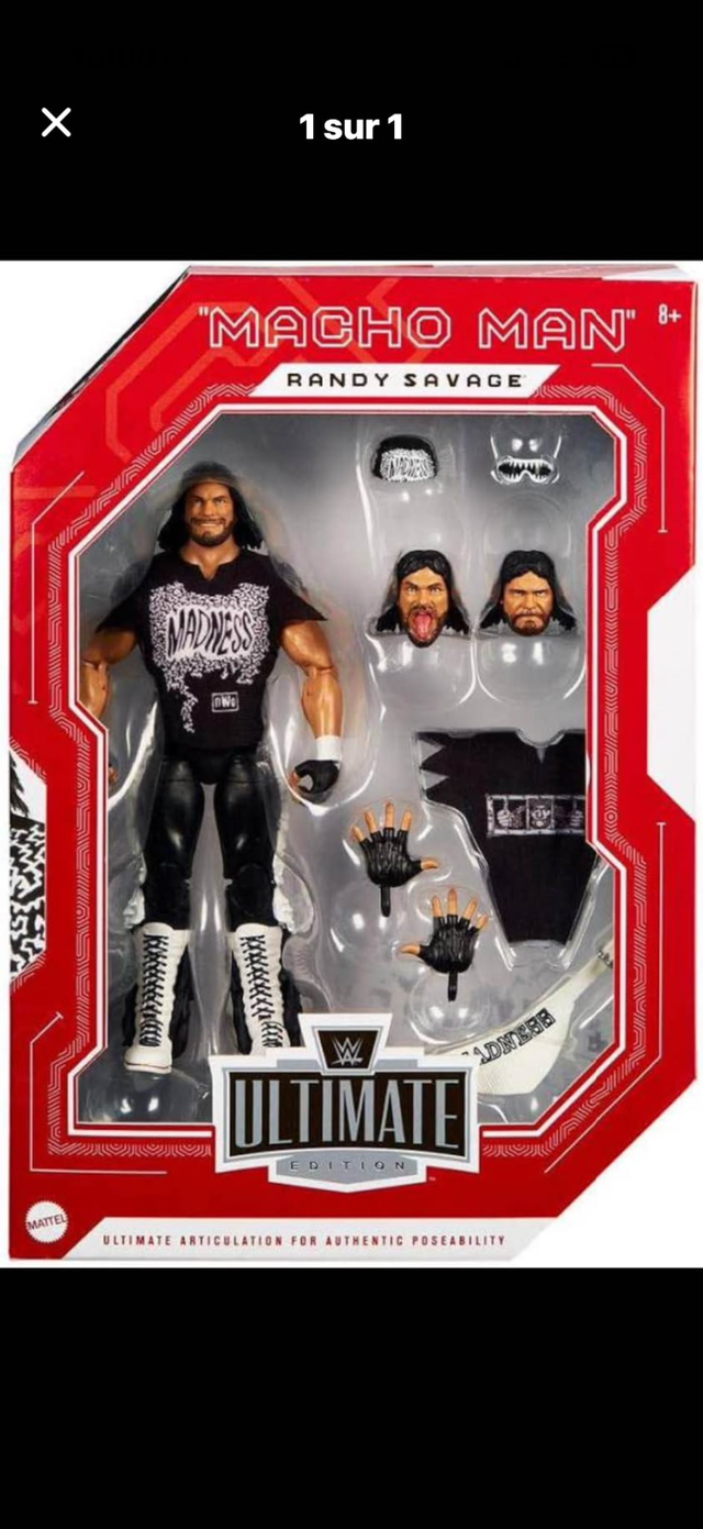 Wwe figurine !!
