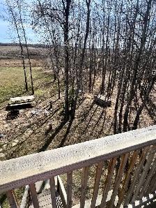 acreage for rent - Photo 6
