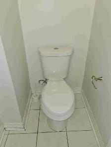 1 BR Basement Apartment for Rent July 15 - L5M. - Photo 6