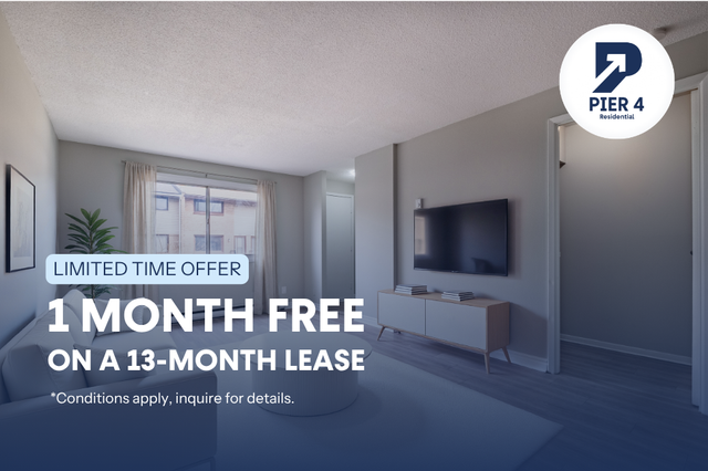 2 & 3-Bedroom's Available | 1 Month Free | 75 Old Chicopee