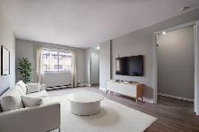 2 & 3-Bedroom's Available | 1 Month Free | 75 Old Chicopee - Photo 2