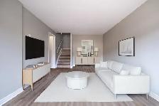 2 & 3-Bedroom's Available | 1 Month Free | 75 Old Chicopee - Photo 3
