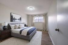 2 & 3-Bedroom's Available | 1 Month Free | 75 Old Chicopee - Photo 5