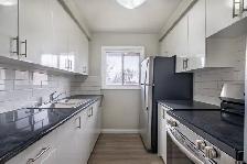 2 & 3-Bedroom's Available | 1 Month Free | 75 Old Chicopee - Photo 8