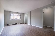 2 & 3-Bedroom's Available | 1 Month Free | 75 Old Chicopee - Photo 10