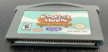 Harvest Moon Friends of Mineral Town - Photo 3