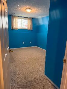 basement suit for rent Taradale ne - Photo 11