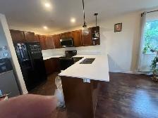 Unbeatable price Quartz Countertops