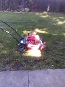 lawnmower - Photo 2
