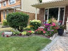 Gorgeous 4 Bed Family Home in the Heart of Markham Village - Photo 10