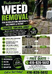 Interlocking weed removal