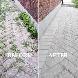 Interlocking weed removal - Photo 4