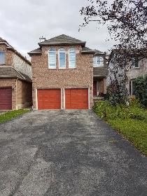 Private 1 bedroom basement apartment available for rent