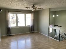 Home for Rent - 4 Bedrooms - Pet Friendly- Heated Garage - AC - Photo 4