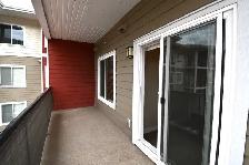 Dallas Town Centre #422 - Photo 12