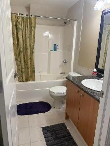 UTILITIES INClUDED! 2 bed, 1 bath basement for rent - Photo 4