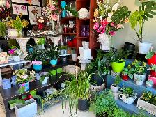 Flower Shop for Sale in South Scarborough - Photo 3