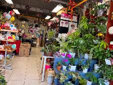 Flower Shop for Sale in South Scarborough - Photo 7