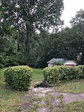 1 bedroom on main level, large backyard, parking and laundry - Photo 4