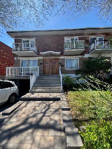 3 1/2 à louer - Rosemont- La Petite -Patrie- 1195$/mois - Photo 7