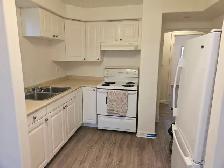 20 Ridout - Photo 2