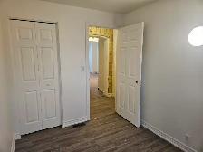 20 Ridout - Photo 6