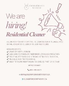 Residential Cleaner