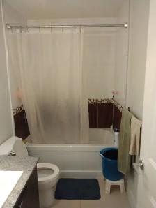 $1,700 - 1 Bedroom Condo (Surrey Fleetwood) - Photo 6