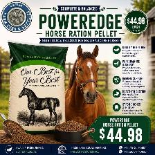Organic Horse Feed