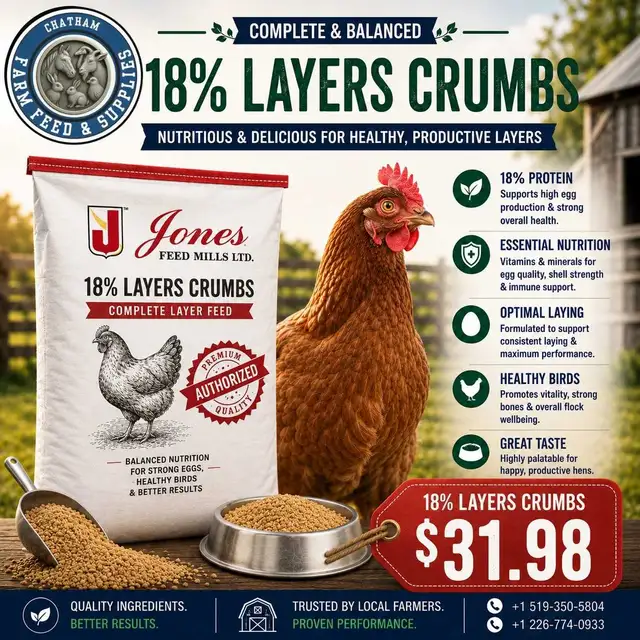 Organic Layer Crumb