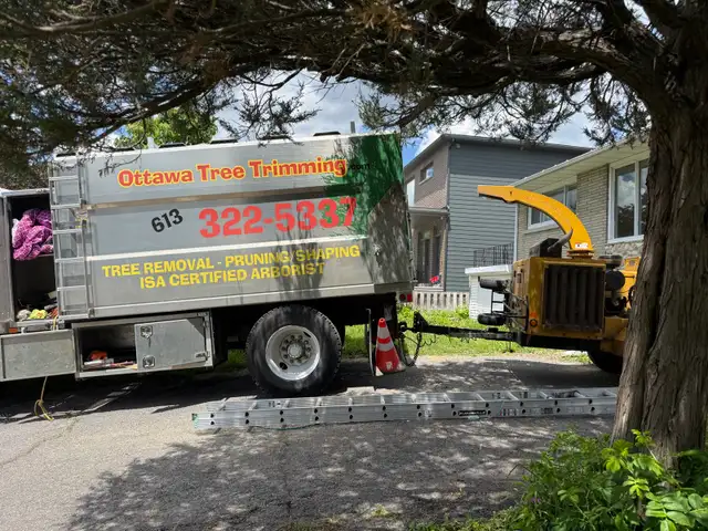 free wood chips mulch - Altavista / walkley only